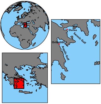 3D Ensemble Simulation of Seawater Temperature – An Application for Aquaculture Operations